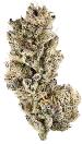 Naked City Gushers | BLVD | Recreational Marijuana Naked City Gushers, blvd