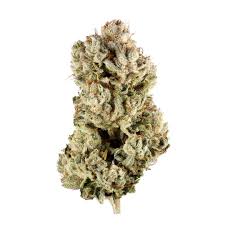 OG Glue - Voodoo