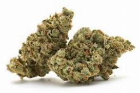 Orange Juice Mac | VOODOO | Recreational Marijuana Orange Juice Mac, voodoo