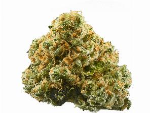 Pineapple Express | HUSTLER'S AMBITION | Recreational Marijuana Pineapple Express, hustler's ambition