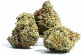 Pink Lemonade | STIIIZY | Recreational Marijuana Pink Lemonade, stiiizy