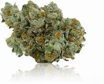 Primus | FLORAVEGA | Recreational Marijuana Primus, floravega