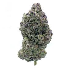 Purple Creamsicle - Polaris