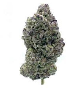 Purple Creamsicle | POLARIS | Recreational Marijuana Purple Creamsicle, polaris