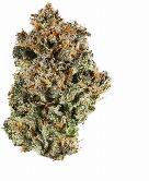 Rainbow Sherbet | FLORAVEGA | Recreational Marijuana