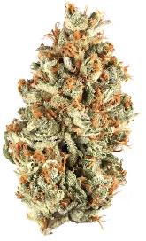 Red Bulz | POLARIS | Recreational Marijuana Red Bulz, polaris