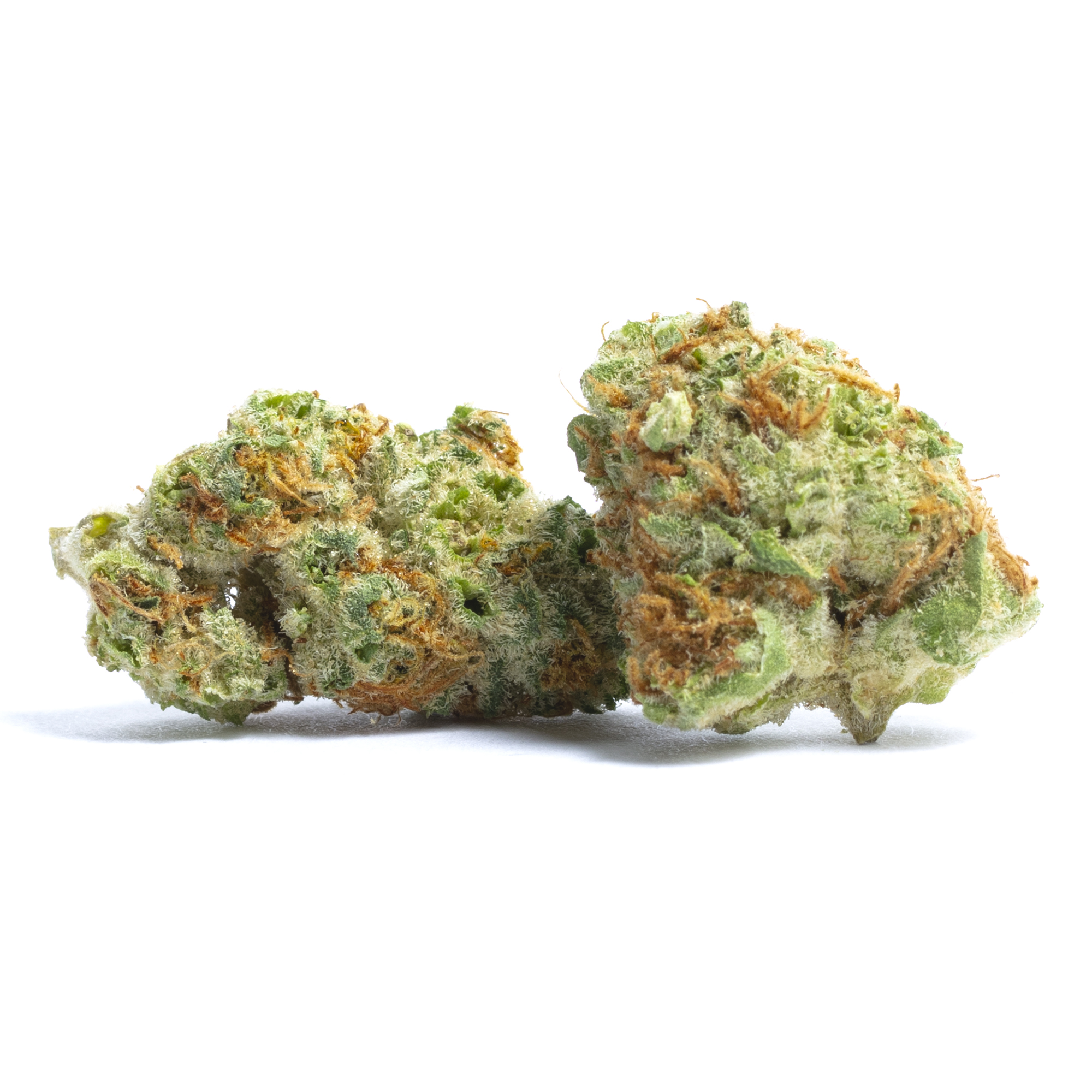 Ruby Red - State Flower