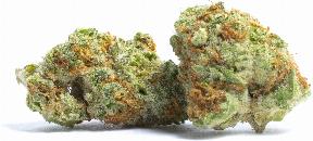 Ruby Red | STATE FLOWER | Recreational Marijuana Ruby Red, state flower