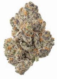 Scoby, alternative medicine association