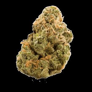 Straw Papaya | GOLDEN STATE BANANA | Recreational Marijuana Straw Papaya, golden state banana