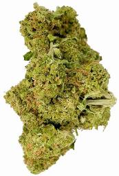 Tahoe Gelato Fuel | SUNDAE CO | Recreational Marijuana Tahoe Gelato Fuel, sundae co