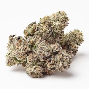 Terdz | CLOUT KING | Recreational Marijuana Terdz, clout king