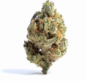 The Juice, state flower