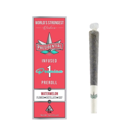 Trendi: Cap Junky Moon Rock - Presidential