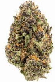 Tropical Cookies | HUSTLER'S AMBITION | Recreational Marijuana Tropical Cookies, hustler's ambition