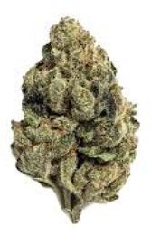 Truffle Skunk, alternative medicine association