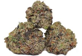 Wagyu | CLOUT KING | Recreational Marijuana Wagyu, clout king