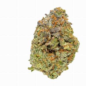 Zz Bow | CLOUT KING | Recreational Marijuana Zz Bow, clout king
