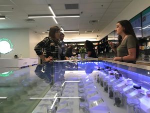 Dispensary Build-Out Timeline: From Lease Signed to First Sale