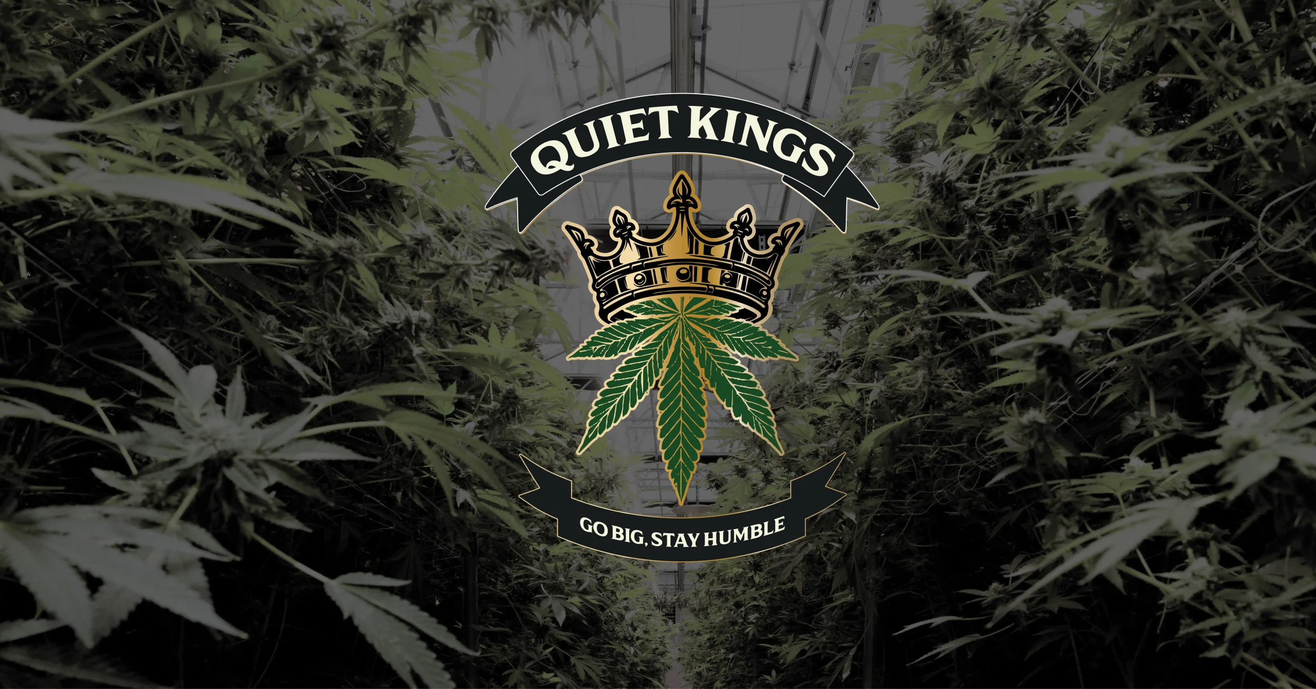Quiet Kings in Long Beach: A Buyer’s Guide to Cannabis Products, Brand Shopping, Value, and Deals